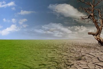 D.L. 9 AGOSTO 2022 N. 115 - SEGNALAZIONE DANNI ALLE PRODUZIONI AGRICOLE