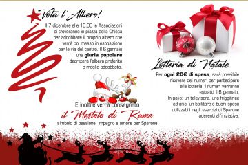 Vota l'Albero...
Lotteria di Natale